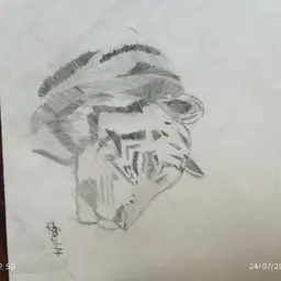 Avatar for Harshit Sharma