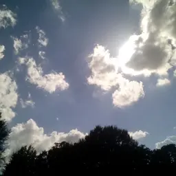 Avatar for Scebren Ruth