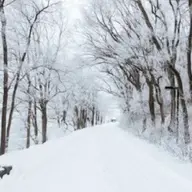 Avatar for Maiar Azem