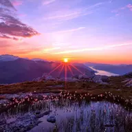 Avatar for Bobby Brown