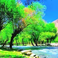 Avatar for Blessings Mohammadi