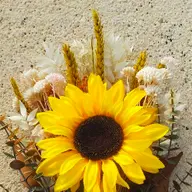 Avatar for Lilith Uania