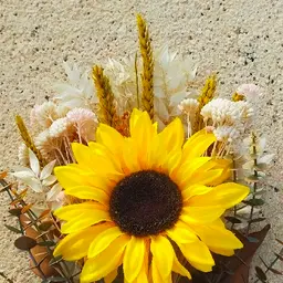 Avatar for Lilith Uania