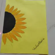Avatar for Vaishnavi Bedre