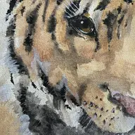 Avatar for Chloe Welch