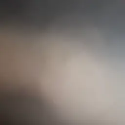 Avatar for Rajveer Jadhav