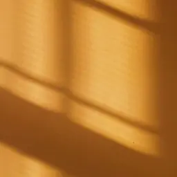 Avatar for PALASH 32