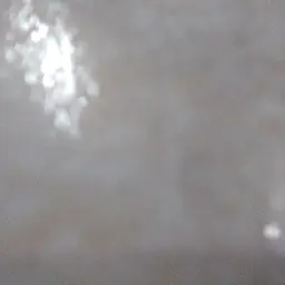 Avatar for Wien Kastchuk