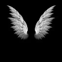 Avatar for Prachi Kumari