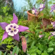 Avatar for Grace Bynum