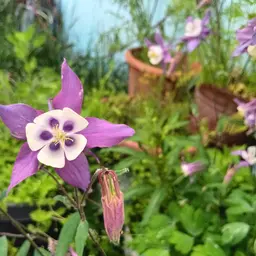 Avatar for Grace Bynum