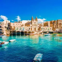 Avatar for Savin Cristian