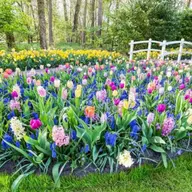 Avatar for Pra Yadav