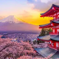 Avatar for Arush Singh