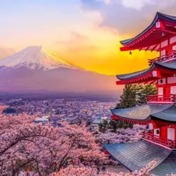 Avatar for Arush Singh