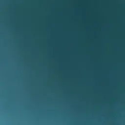 Avatar for Calvin Mahlaba