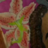 Avatar for Karisma Moye