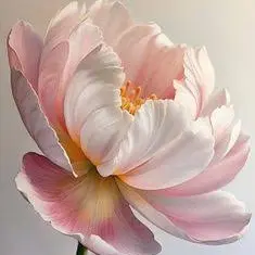 Avatar for Jina Sujay