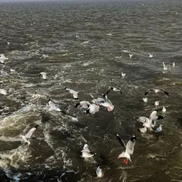 Avatar for Kaveri Shinde