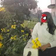 Avatar for Avni Jain