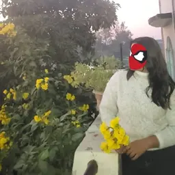 Avatar for Avni Jain