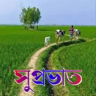 Avatar for Farhin Khatun