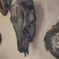 Avatar for Rachel Walker