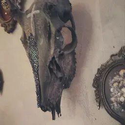 Avatar for Rachel Walker