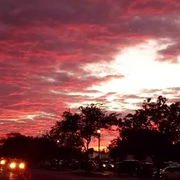 Avatar for Victoria Libby