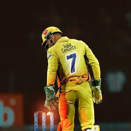 Avatar for Niladri Sarkar