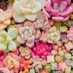 Avatar for Nikita Maddison