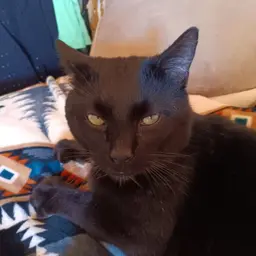 Avatar for Mike Fisher