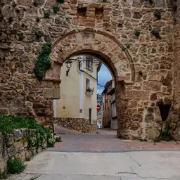 Avatar for Diego Estelles