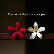 Avatar for Nikhil Raj