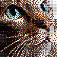 Avatar for Abdullha Safi