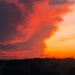 Avatar for Max Dzyula