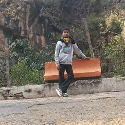 Avatar for Ankur Sahu