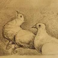 Avatar for Sinan Bayrak