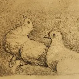 Avatar for Sinan Bayrak