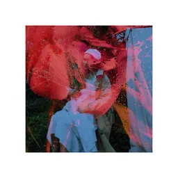 Avatar for Elina Mihaltsova
