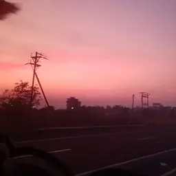 Avatar for Amulya Patil