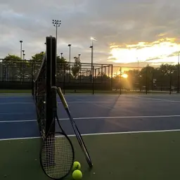 Avatar for Silvia Castro