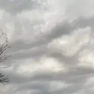 Avatar for Monique Engelbrecht