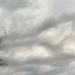 Avatar for Monique Engelbrecht