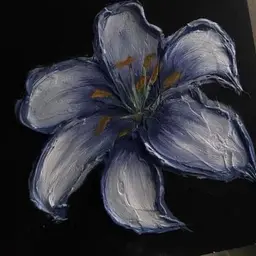Avatar for Aaliyah Khan