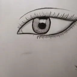 Avatar for Sazia Latif