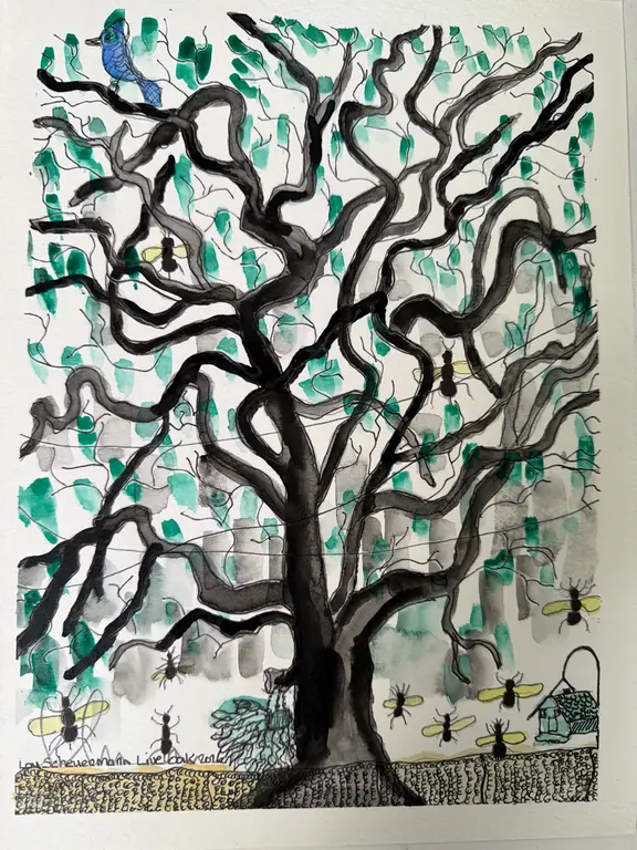 Image for Live oak
