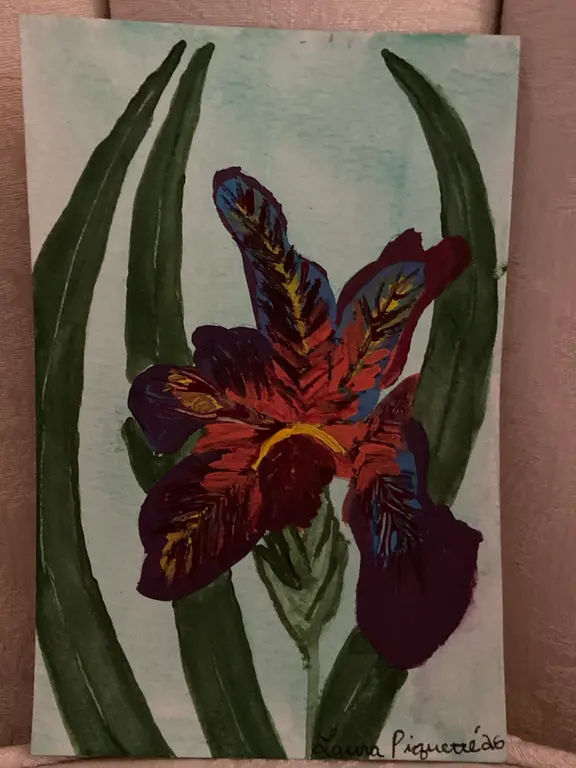Image for Nature of Fortune