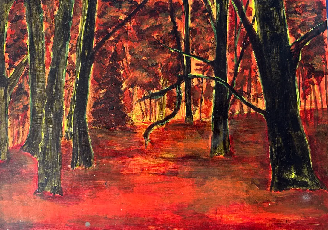 Image for Fire woods