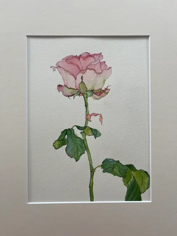 Image for Tender rose